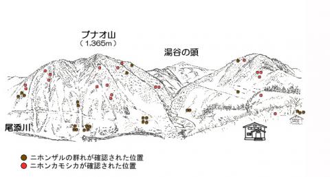 サル地図R302-2