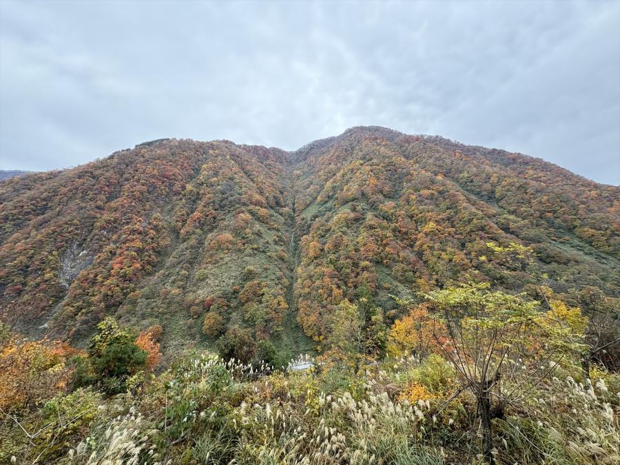 2025年11月13日ブナオ山の紅葉