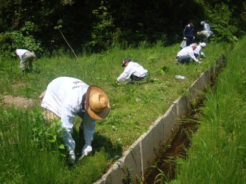 長崎草刈り作業1
