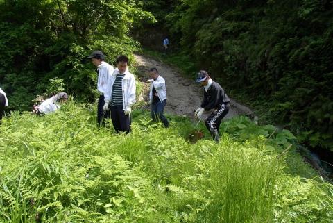 長崎草刈り作業2