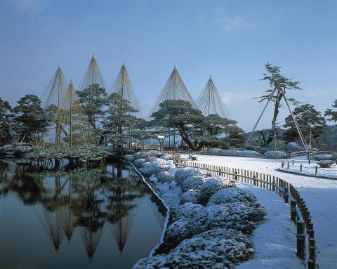 兼六園の雪吊り