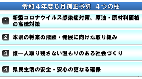 令和4年度6月補正予算 4つの柱