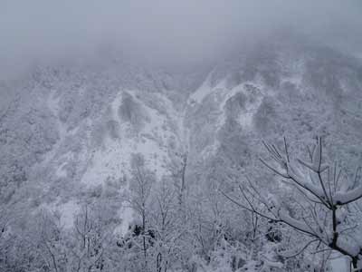 181214ブナオ山