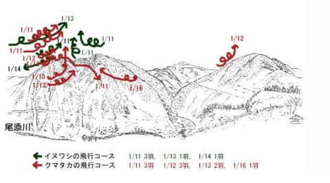 31011-2イヌワシ地図