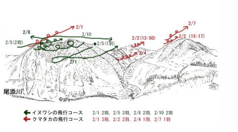 1902-1イヌワシ地図