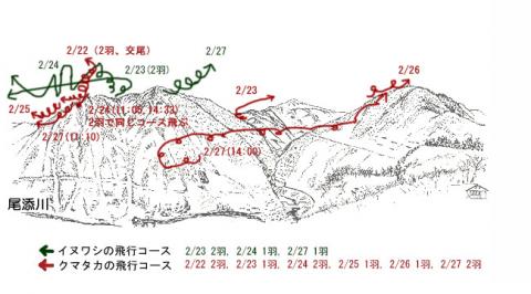 3102-3イヌワシ地図