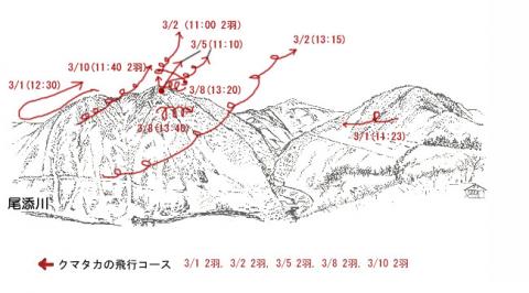 3103-1イヌワシ地図