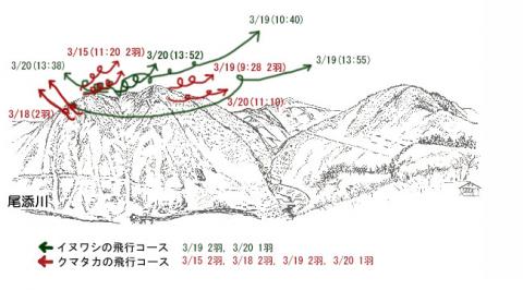 3103-2イヌワシ地図