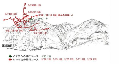 19033-3イヌワシ地図