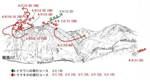 3104-1イヌワシ地図