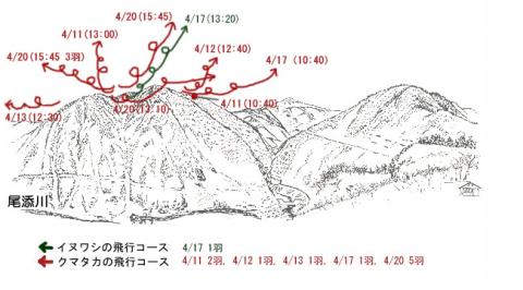 3104-2イヌワシ地図