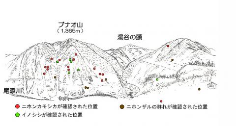 30.12-3サル地図
