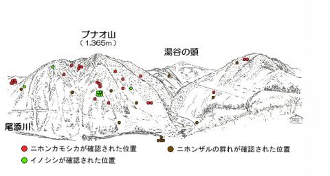 3101-1サル地図