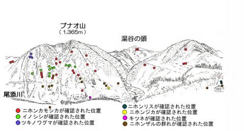 31011-2サル地図