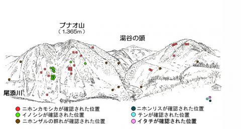 31011-3サル地図