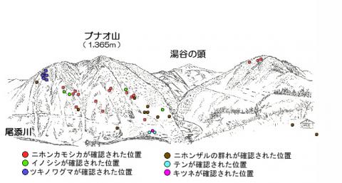 3103-1サル地図