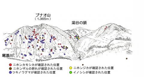 3104-2サル地図