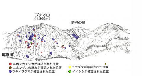 3104-3サル地図