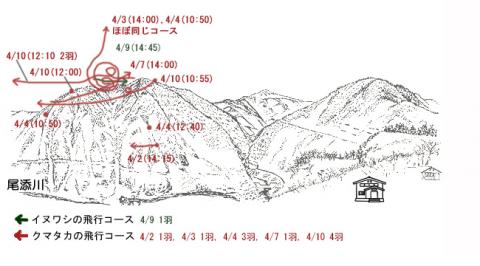 R204-1イヌワシ地図