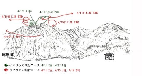 R0204-2イヌワシ地図