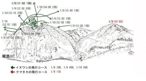 R21-1イヌワシ地図