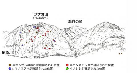 サル地図R111-1