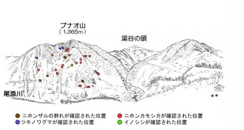 サル地図R111-1