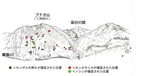 R112-1サル地図