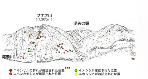 R203-1サル地図