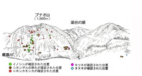 R203-2サル地図