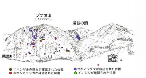 R204-3サル地図