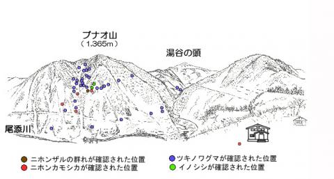 R205-1サル地図