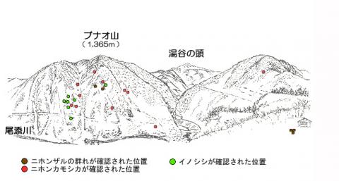 R21-1サル地図