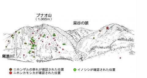 R21-2サル地図