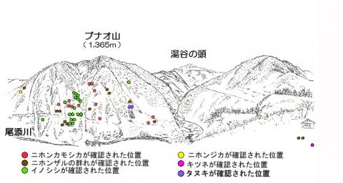 R21-3サル地図