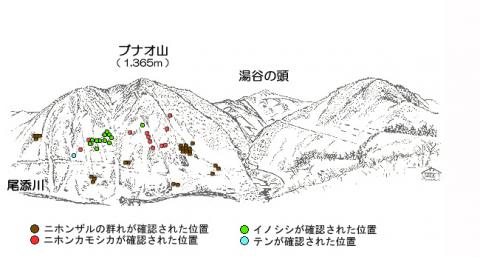 サル地図R22-1