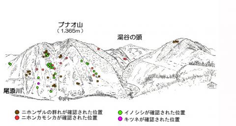 サル地図R22-2