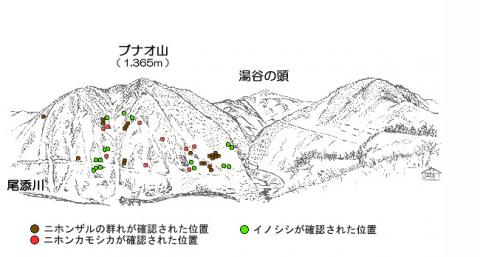 R22-3サル地図