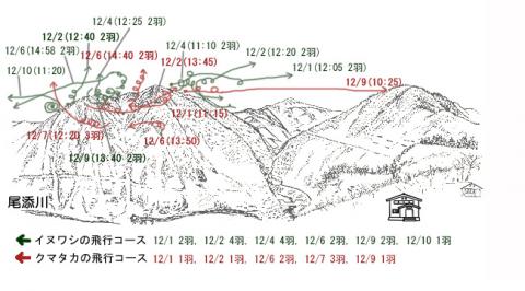 イヌワシ地図R212-1