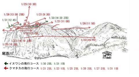 イヌワシ地図R301-3