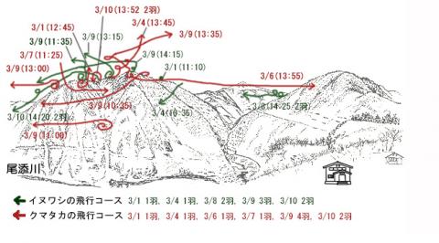 イヌワシ地図R303-1