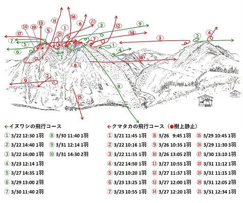 イヌワシ位置図R303-3