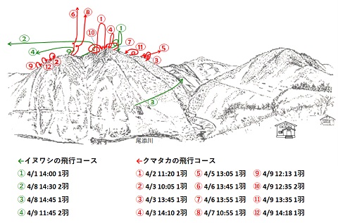 イヌワシ位置図R304-1