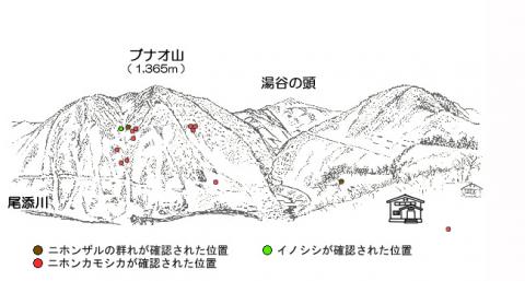 サル地図R212-1