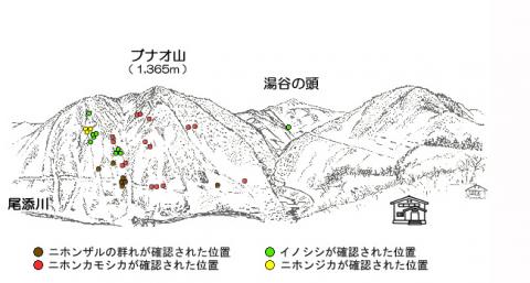 サル地図R212-2