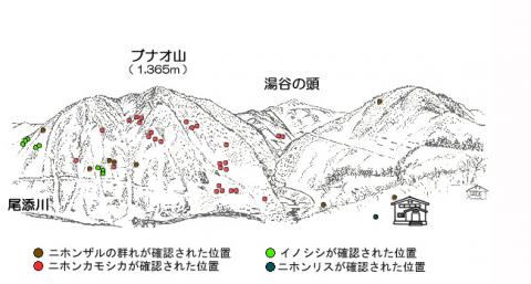 サル地図R212-3