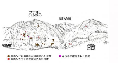 サル地図R301-1