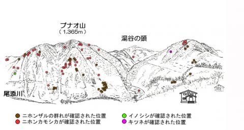 サル地図R301-2