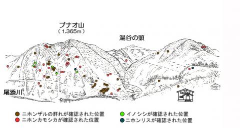 サル地図R301-3