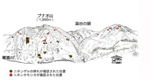 サル地図R302-1
